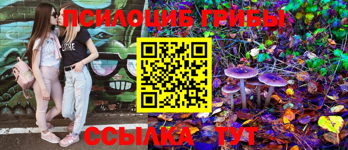 Псилоцибиновые грибы Psilocybine cubensis Камень-на-Оби