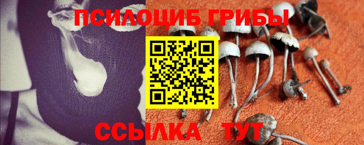 Камень-на-Оби  Псилоцибиновые грибы MAGIC MUSHROOMS  Вход с VPN  Галлюциногенные грибы мухоморы 